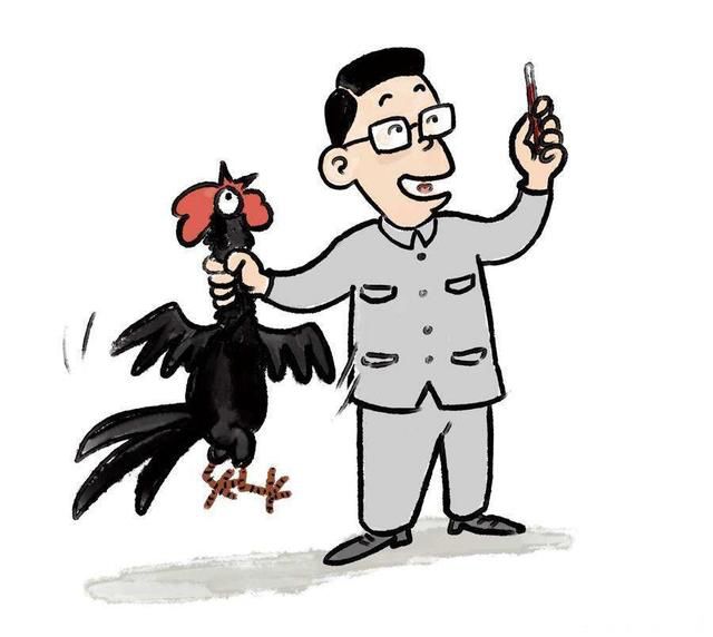 打鸡血的由来啥意思 保健方法像打了兴奋剂一样