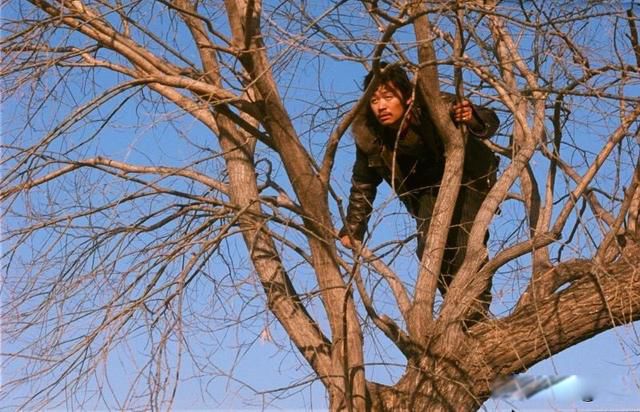 树先生讲的到底是什么意思 结婚当晚树先生就绿了