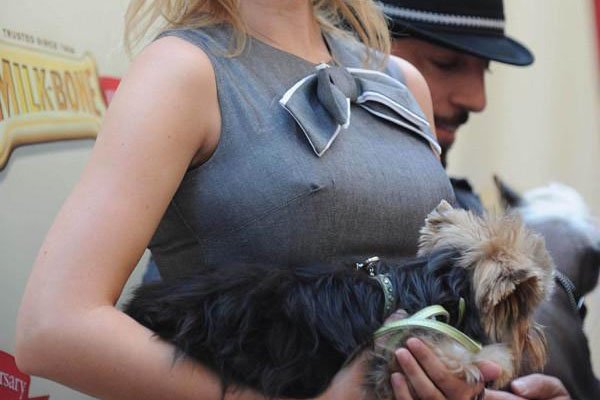 伊万卡最想删的突点不雅照 40岁瓦妮莎身材傲人,镂空透视