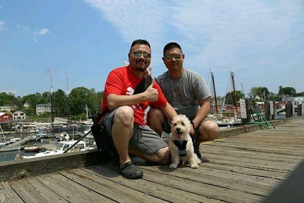 �������������ѻ��������ֵ��� ��������������������Ƭ