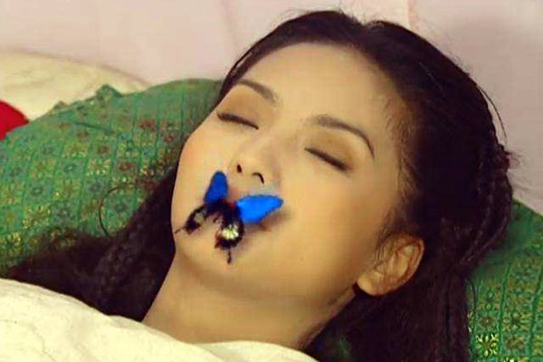 香妃刘丹一家怎么回事儿 刘丹是别人害的吗(车祸腰截图片)