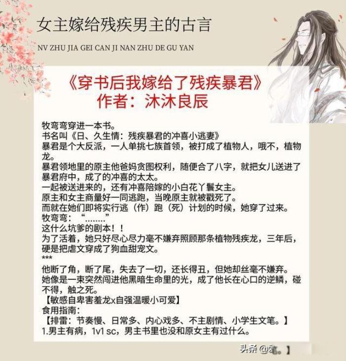 好看的男主是残疾人小说推荐 暖文古言:男主角是残疾人宠文