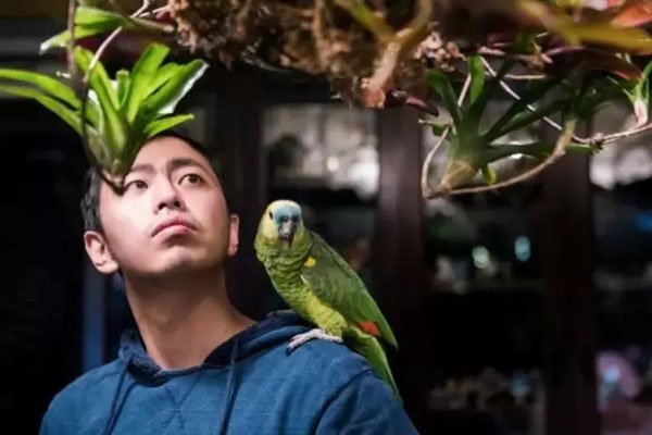 ������ʲô׬Ǯ��ά������ �г����۲�����ˮ��������Ϊʲô��ô����