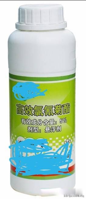 ����ʲô��õ����߷�����ʲô �̴��ũ������С����