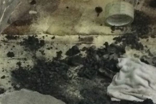 ��̿�ж���������Ҫ��� ��̿��ɱ�����᲻��ʹ��