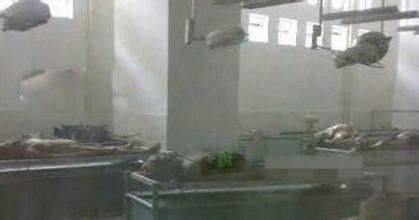 �й������¼���ʵ������ȫ 23�������¼���ʵ����