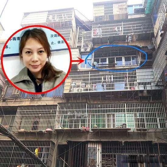 ����֦����ȫ���� ����Ӣ����֦������ϸ�����¼�ʼĩ