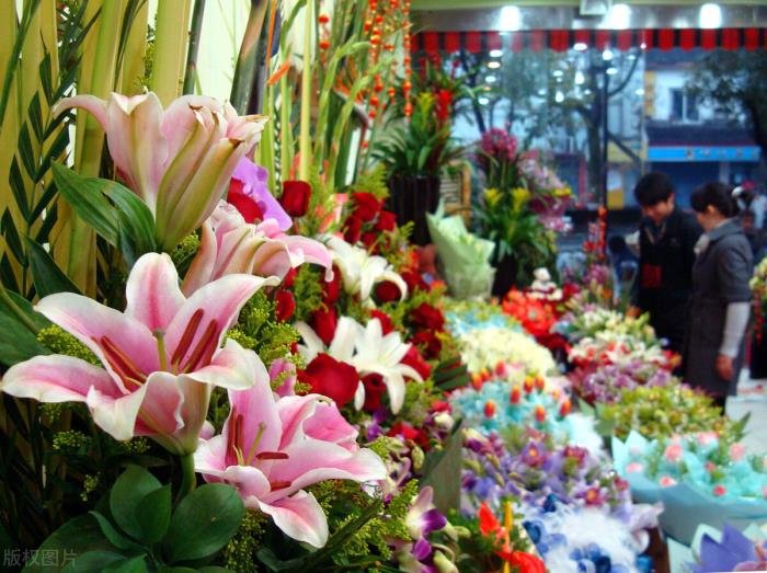 ����2���10��С���� С�س�����Ǯû�˸ɵ�����