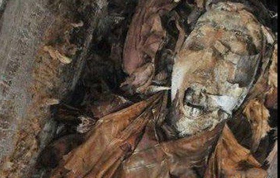 95��ɶ���ʬ�¼��ѱ�֤ʵ 1955��ɶ���ʬ��