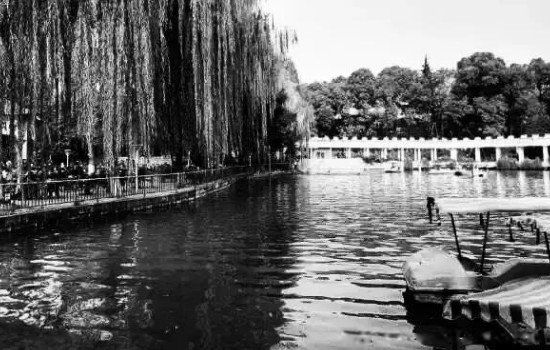 95��ɶ���ʬ�¼��ѱ�֤ʵ 1955��ɶ���ʬ��