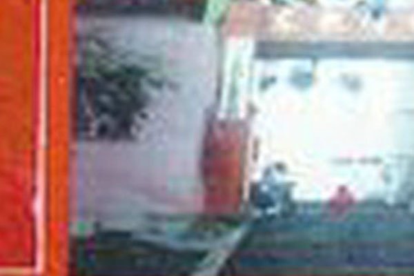 �������С�к������������ ���ָ��ֲ²⣺ĸ��������