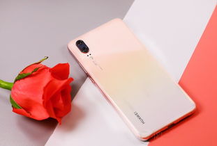 ˹�����ָ�֮�����Ŀ�Ժ� �Ŀ��µ�Ƥ��������Լ۱�