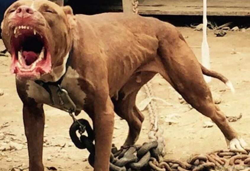 ������Ȯ����ǰʮ�Ĺ� ����Ȯɱ��������ǿ����