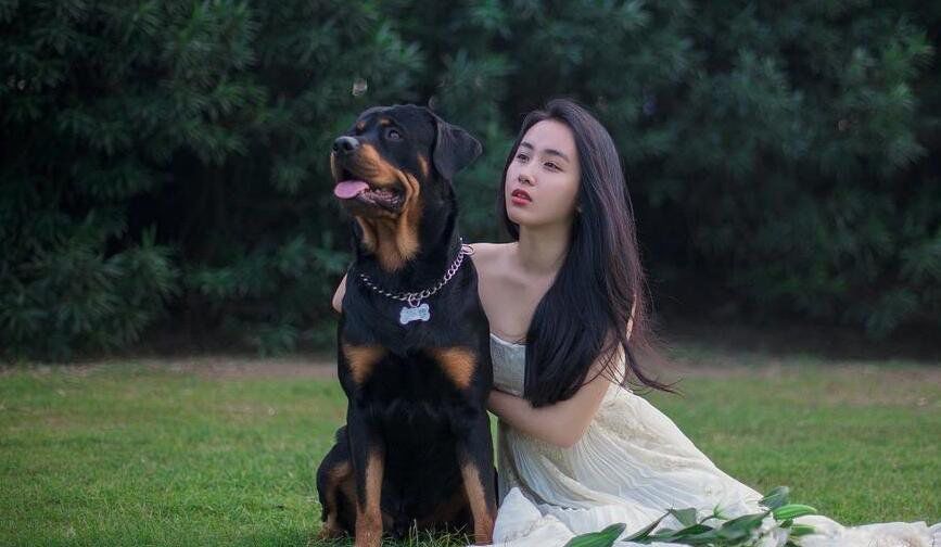 ������Ȯ����ǰʮ�Ĺ� ����Ȯɱ��������ǿ����