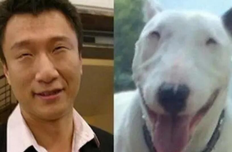 ������Ȯ����ǰʮ�Ĺ� ����Ȯɱ��������ǿ����