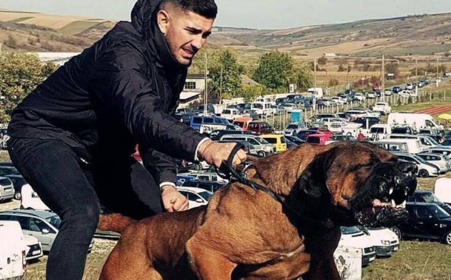 ������Ȯ����ǰʮ�Ĺ� ����Ȯɱ��������ǿ����