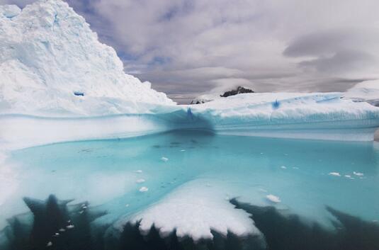 南极发现8亿年前女孩真假 只有13岁:进化论陷入了困境