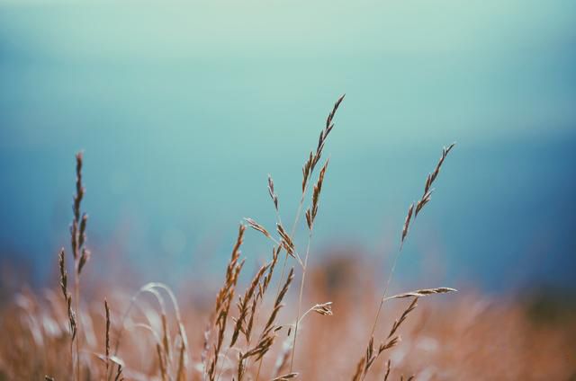 ƮС˵��Ҫ��ʲô ��ƪС˵����������˭