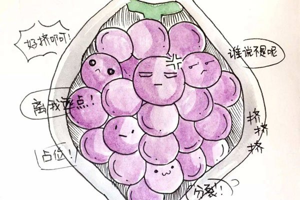 ����̥���±�����ͼƬ �޷�����̥�����в�������