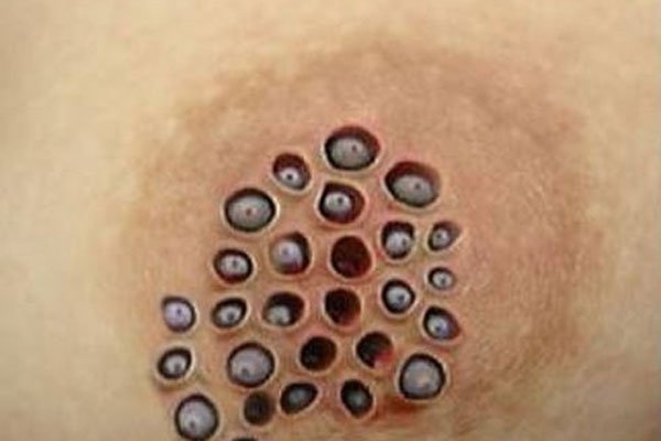 ������,����ָ,֥����,΢Ц��,������ɶ��˼ ��ͨ������᲻�ʾ��Բ�Ҫ��