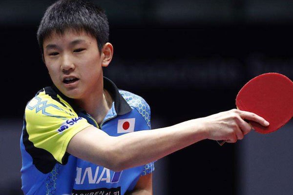 �ű��Ǻͼ������������ϼ�� �����ձ�����������ĸ�ľ���