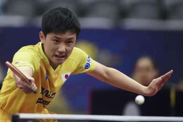 张本智和简历及个人资料简介 加入日本国籍是他父母的决定