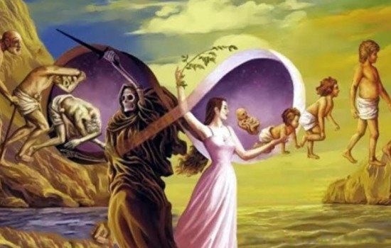 ʲô�������� 49��������������������Ͷ̥�����������