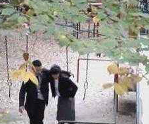 ��ǧ��24������Ƶ��ʲô ����һ��У԰�¼������ж༢��