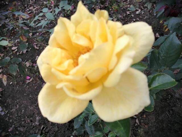 �й�˽�°�����һ�����Ǯ �������й�����ô