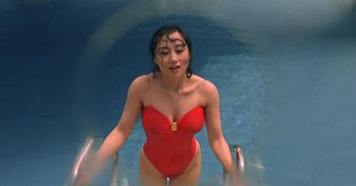 ���Ǹ������ϼ��� ���������ǺͶ����ĸ���ʷ