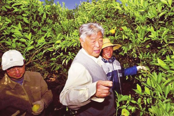 ��ʱ���������ϼ���� ����������ʱ����Ϊʲô��ȥ��