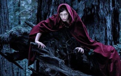 ��̩������ʵ�¼� ���˲��أ���̩��ʦ�߾������¼�����