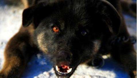 Ȯ����ʲô�̷� ��Դ��ʷ��Ȯ������ôִ�е�