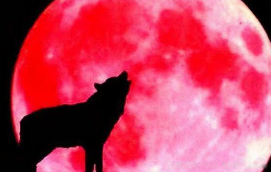 Ѫ��Ϊʲô�������� ��Ԫռ����Ѫ�³�����ζ��ʲô