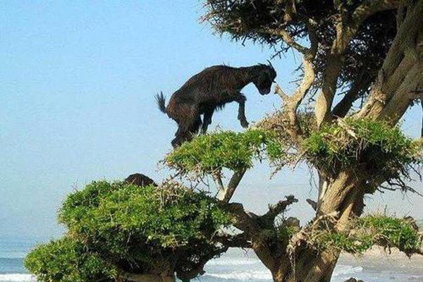 ��������ô��ͼƬ �򺫹������������ܹ�ע�Ĵʻ�