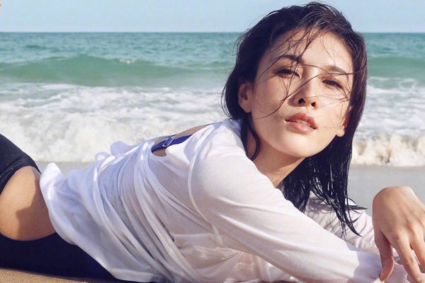 �����ĵ��Ϲ���˭ ��飿�����ĺ����������һ������