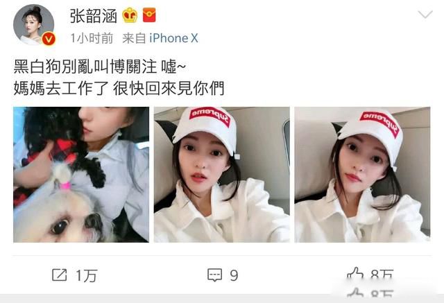 范玮琪人设为什么塌了 早已崩塌:为什么口碑那么差