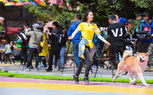 �����Ȱ�Ȧ�ڿڱ����� ���Ļ���������˿�����Ľ��