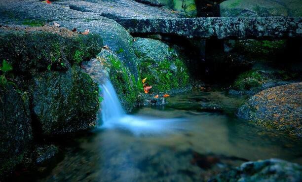 Сʯ̶����ʵ�Ǹ������� �о��в��ɾ��Ķ�����������