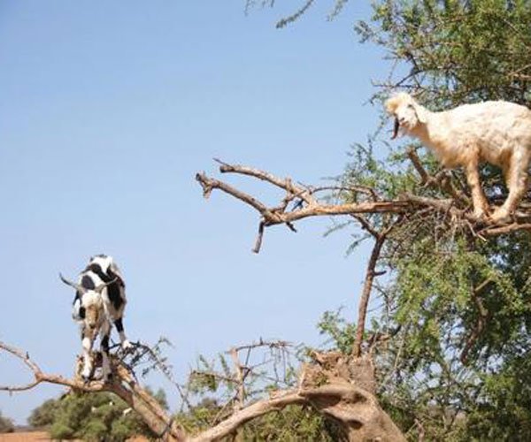 ��������ɶ��˼ ������ʽ����Ů֮��������������Ƭ