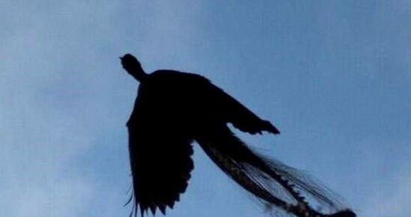 ����Ŀ���¼��̵� 3��Ŀ�������İ�����ȫ��