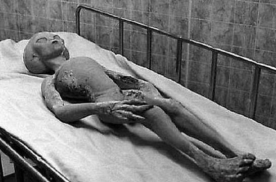 ������ͼƬ��ȫ ��òʮ�־�����Ӥ��������