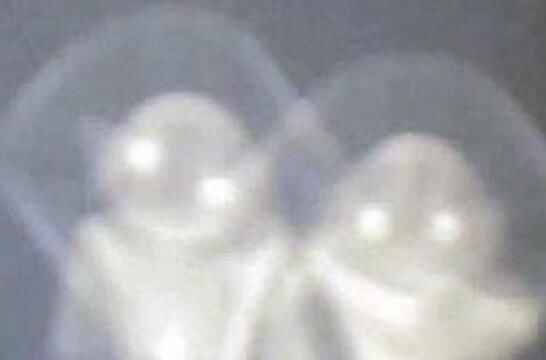 ������ͼƬ��ȫ ��òʮ�־�����Ӥ��������