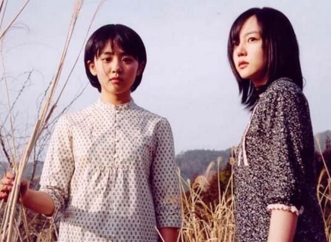 �����ֲ�Ƭ����ǰʮ ���ָ߳���Ѫ�ȿֲ��ĺ�����Ӱ