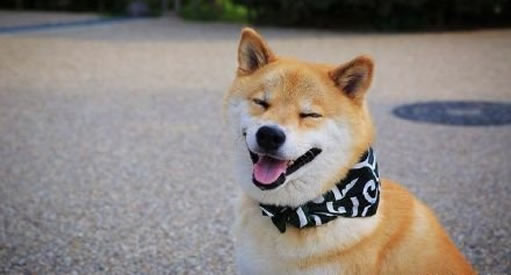 ΢Ц��ͼƬԭͼ�ֲ������������ ����smile.jpg��PS�ϳƵ�