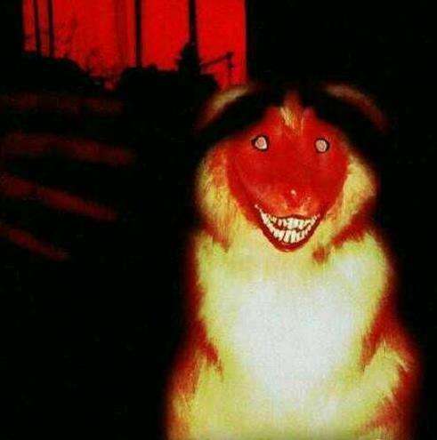 ΢Ц��ͼƬԭͼ�ֲ������������ ����smile.jpg��PS�ϳƵ�