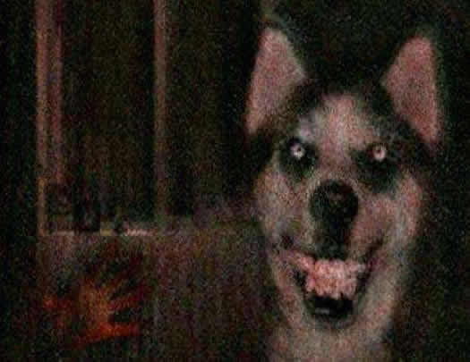 ΢Ц��ͼƬԭͼ�ֲ������������ ����smile.jpg��PS�ϳƵ�