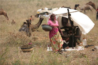 �����������ĸ����ҵ� �����ˣ�����������һ������������