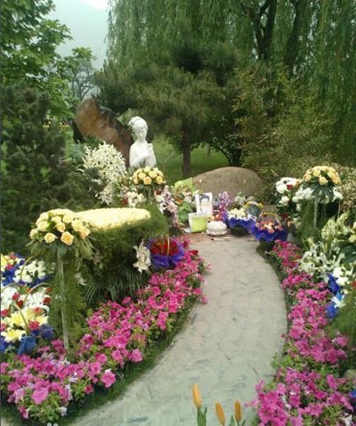 ������������ϼ�� ����ǳ�����ֻΪ����������