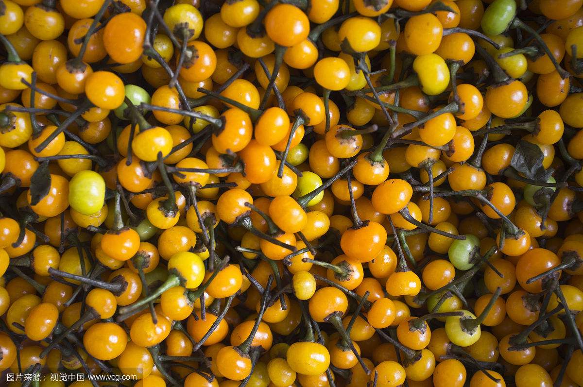 ���������Ĳ���Ƥ����������Ǯһ�� ��������ۣ��۸�Ϊʲô��ô��